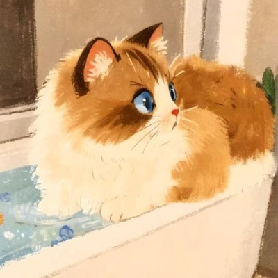 猫猫