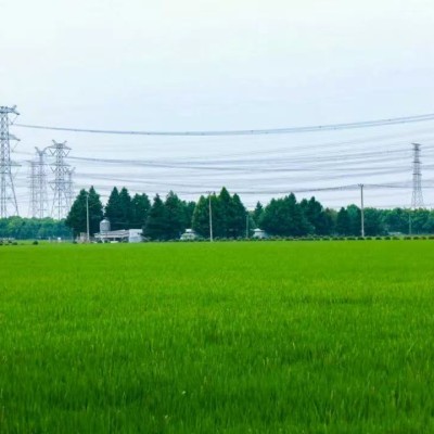 生活随拍