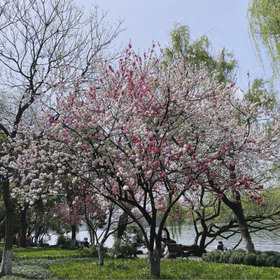 杭州西湖