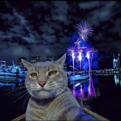 猫猫