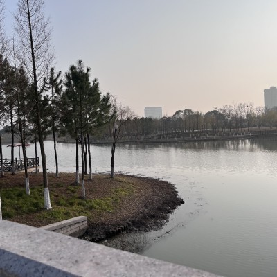 平湖公园