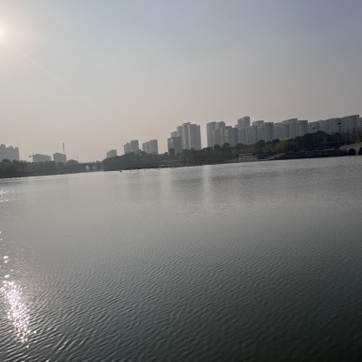 平湖公园