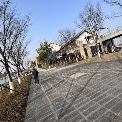 平湖公园