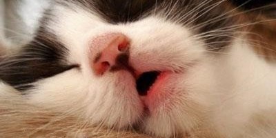 只需一行代码,纯文本秒变 Markdown 只需一行代码,纯文本秒变 Markdown
