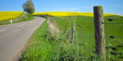 愿无岁月可回首 且以深情共白首