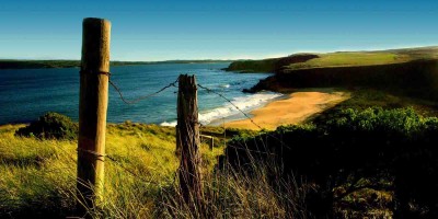 爱而不得，本就寻常